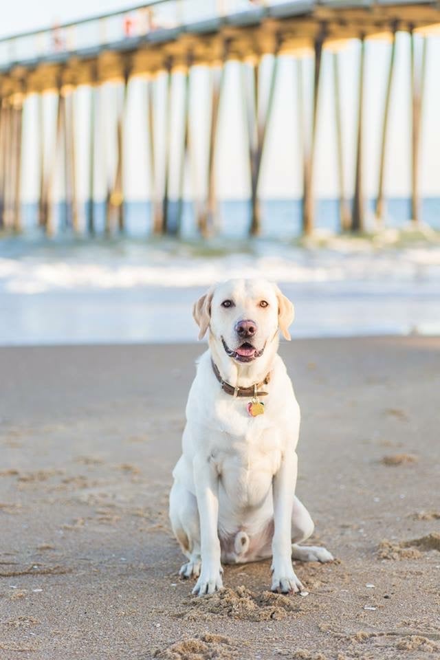 Tucker Smiling